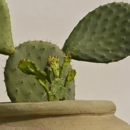 Baia Portinenti 4* Lipari