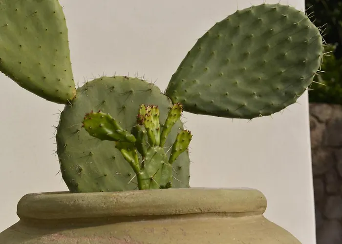 Baia Portinenti 4* Lipari (Isola Lipari)